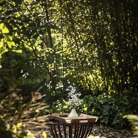 Ξενοδοχείο Hofgut Mollberg Wiefelstede