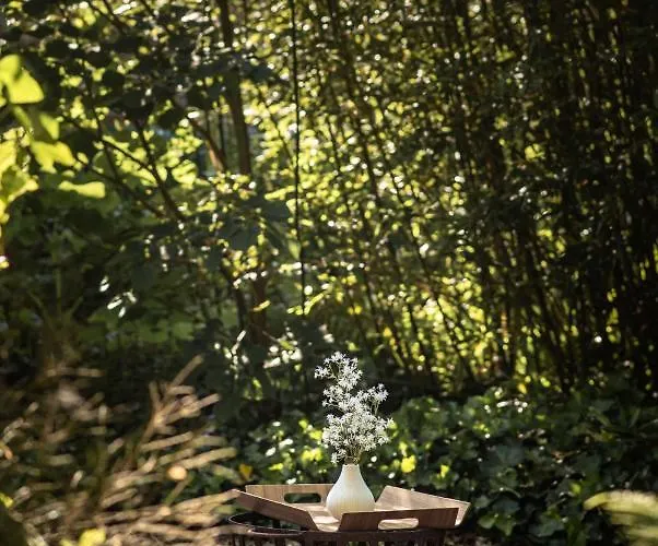 Hotel Hofgut Mollberg Wiefelstede